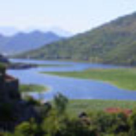 CENTO11 Dimensione Gourmet